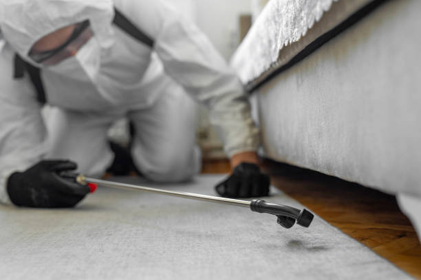 Professional Bed Bug Control technician working in Laurinburg, NC