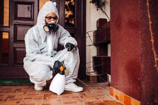 Reliable Bed Bug Control contractor in Laurinburg, NC by Nex Pest Control