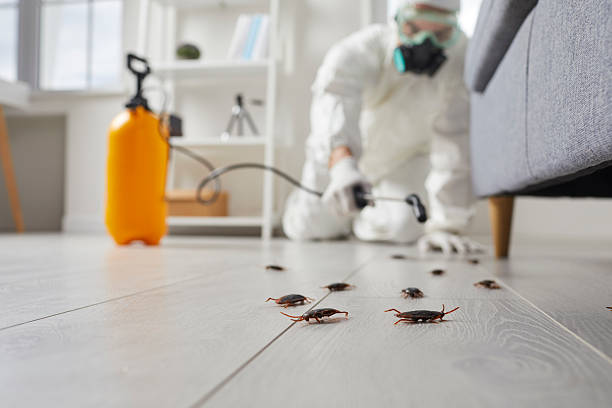 Trusted Mosquito Control service in Laurinburg, NC - Nex Pest Control
