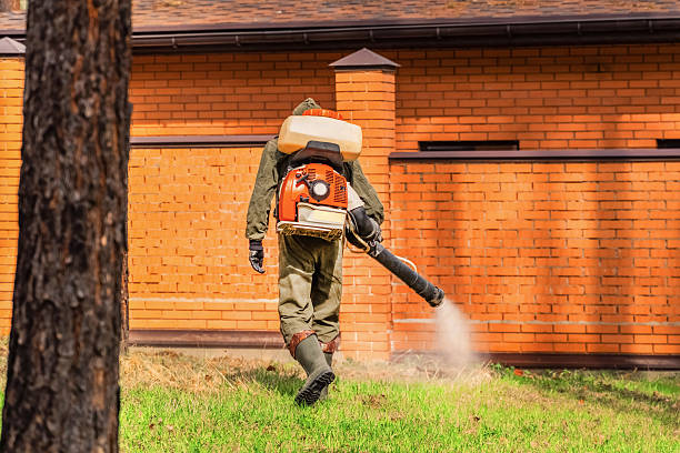 Trusted Termite Control service in Laurinburg, NC - Nex Pest Control